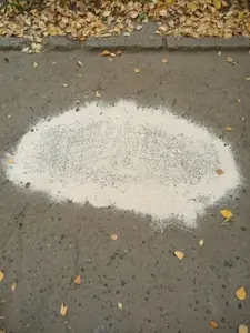 Фото покупателя